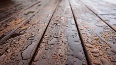 استاندارد ترموود, الوار ترمو, بهترین برند ترمووود, تخته ترمووود, ترموتراش, ترموچوب, ترموود ایرانی, ترموود سخت چوب, ترموود فنلاندی, ترموود نرم چوب, ترمووود, ترمووود راش, ترمووود زبان گنجشک (ASH), ترمووود سدر, ترمووود فضای باز, ترمووود کاج, ترمووود نوئل (Spruce), تفاوت چوب ترموود و چوب معمولی, چوب اشباع شده, چوب با دوام بالا, چوب با ماندگاری بالا, چوب ترمو, چوب ترمو استخر, چوب ترمو برای آلاچیق, چوب ترمو برای پرگولا, چوب ترمو برای دکوراسیون داخلی, چوب ترمو برای نمای بیرونی, چوب ترموود, چوب سبک و مقاوم, چوب ضد آب, چوب مقاوم در برابر آتش, چوب مقاوم در برابر حشرات, چوب مقاوم در برابر رطوبت, خرید ترموود, روش تولید چوب ترمو, فرآوری حرارتی چوب, فرآیند ترمووود, فروش ترموود عمده, قیمت ترموود فنلاندی, قیمت چوب ترموود, کفپوش ترموود, لیست قیمت ترمووود, نمای ترمووود, نمای چوبی ساختمان, نمایندگی ترمووود